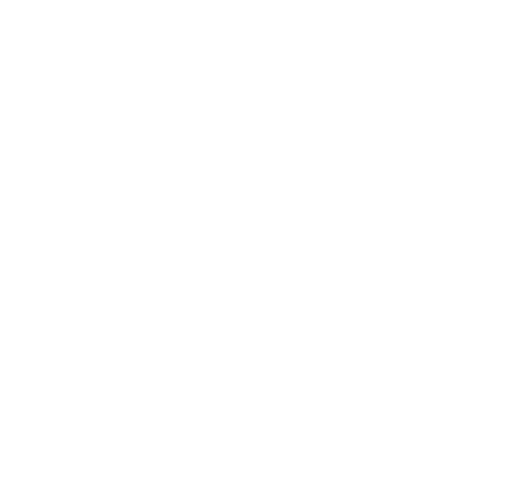Next Venture